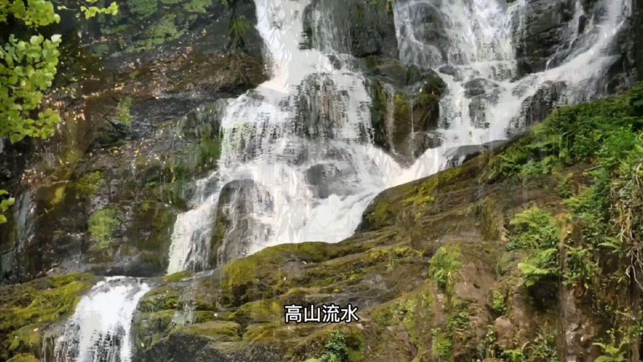 口袋侏罗纪